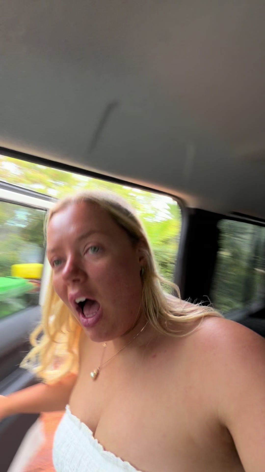 @Bridey Drake