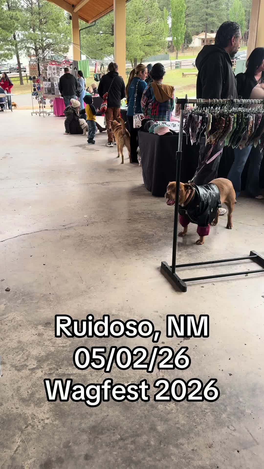 @Mirissa Good Ruidoso Realtor