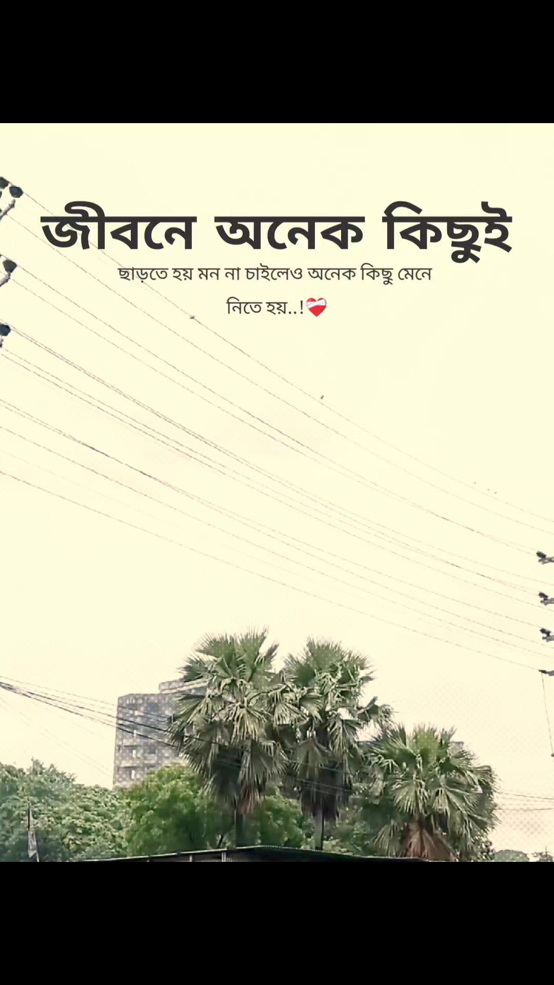 @꧁⭑শেষ পৃষ্ঠা⭑꧂