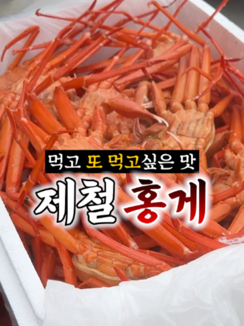 @싱싱헌터스