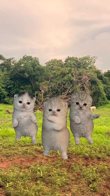 @SadlynX 💙