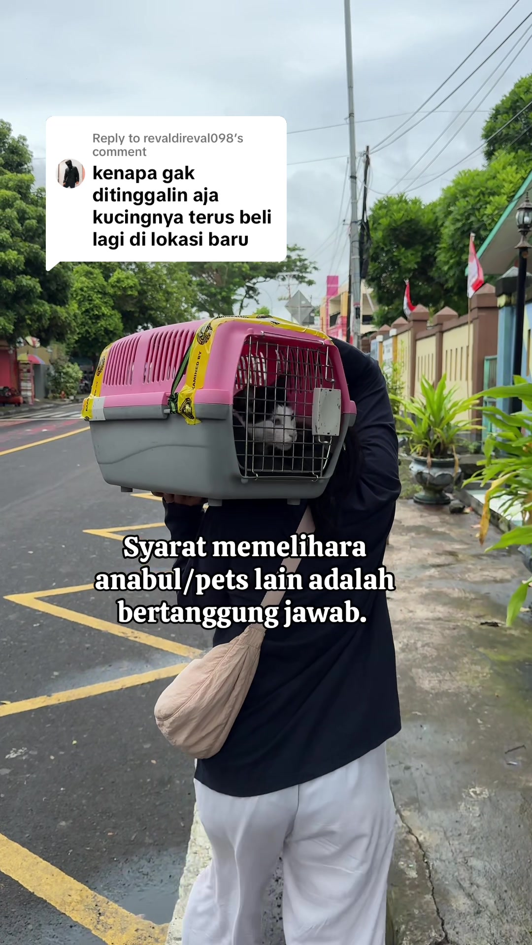 @KucingGBK