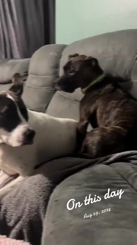 @warriorgirl_Traci 72
