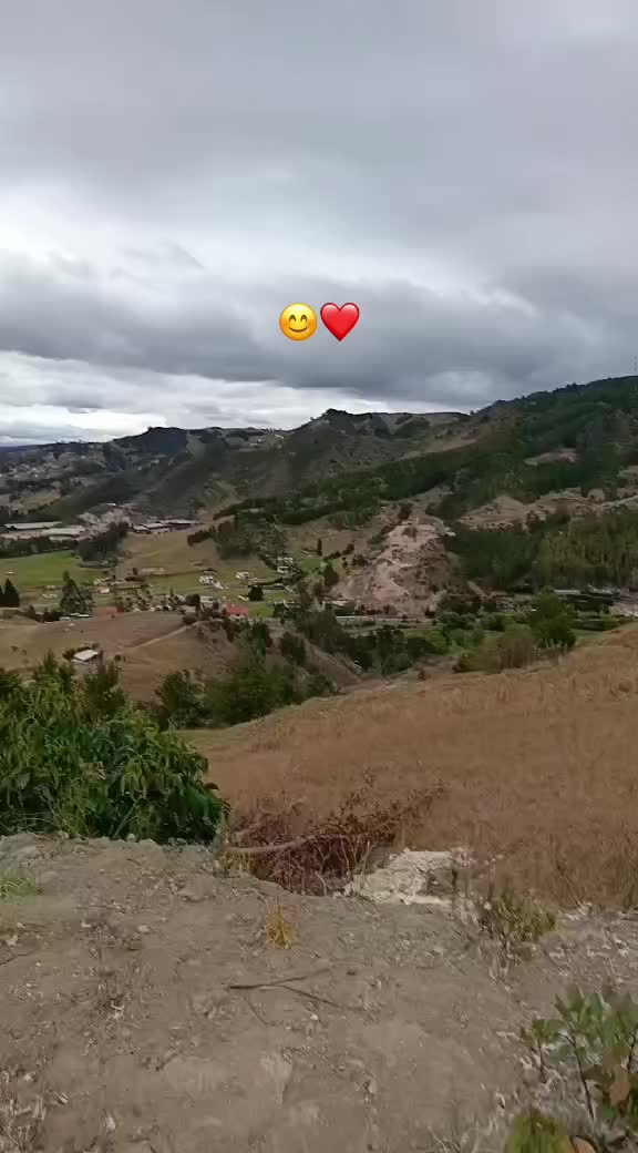 @🌻🖤