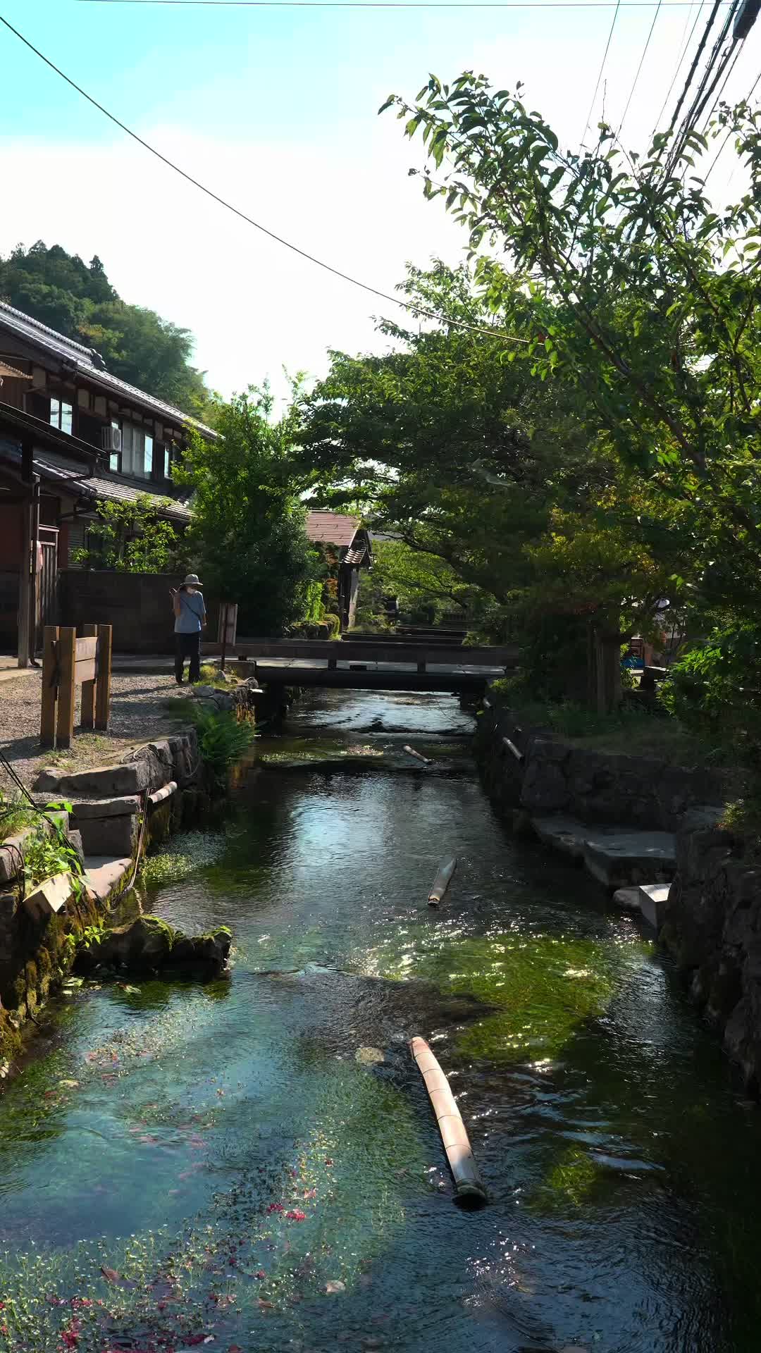 @Fuji_Aquarium