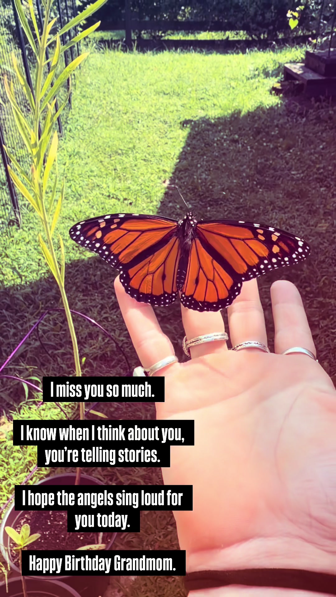 @_bonesnbutterflies_