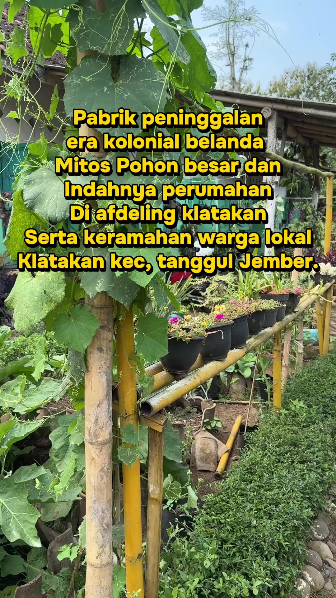 @nabiel aziz, S.H.