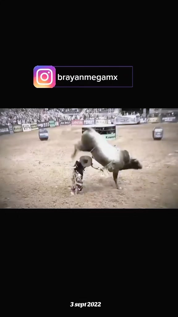 @brianmegamx