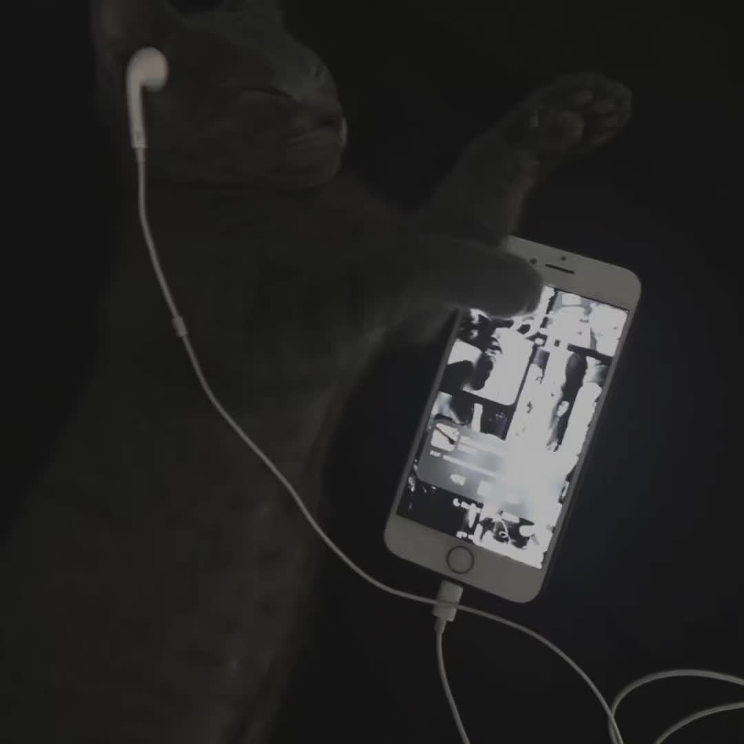 @ᴍʙ.ʀᴀʏʟɪ