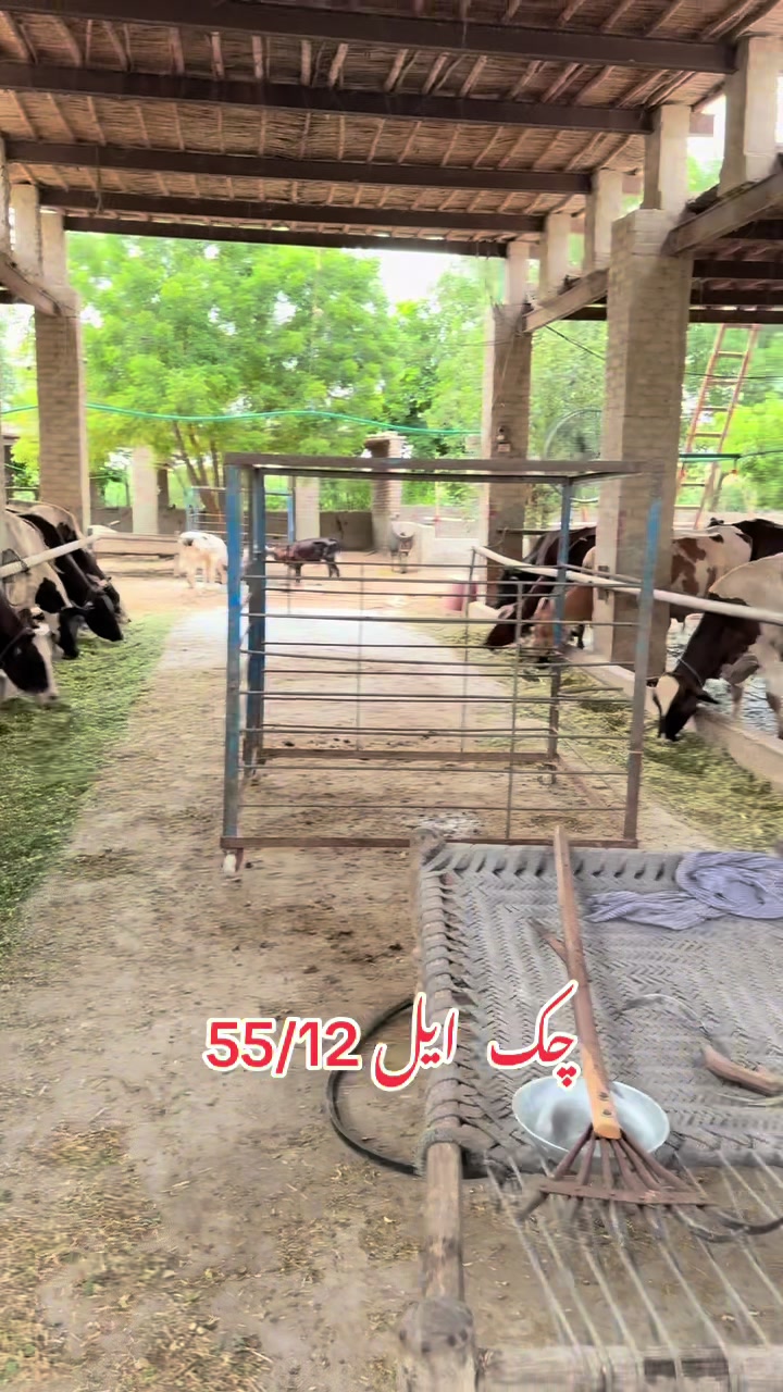 @Dr.Mohsin