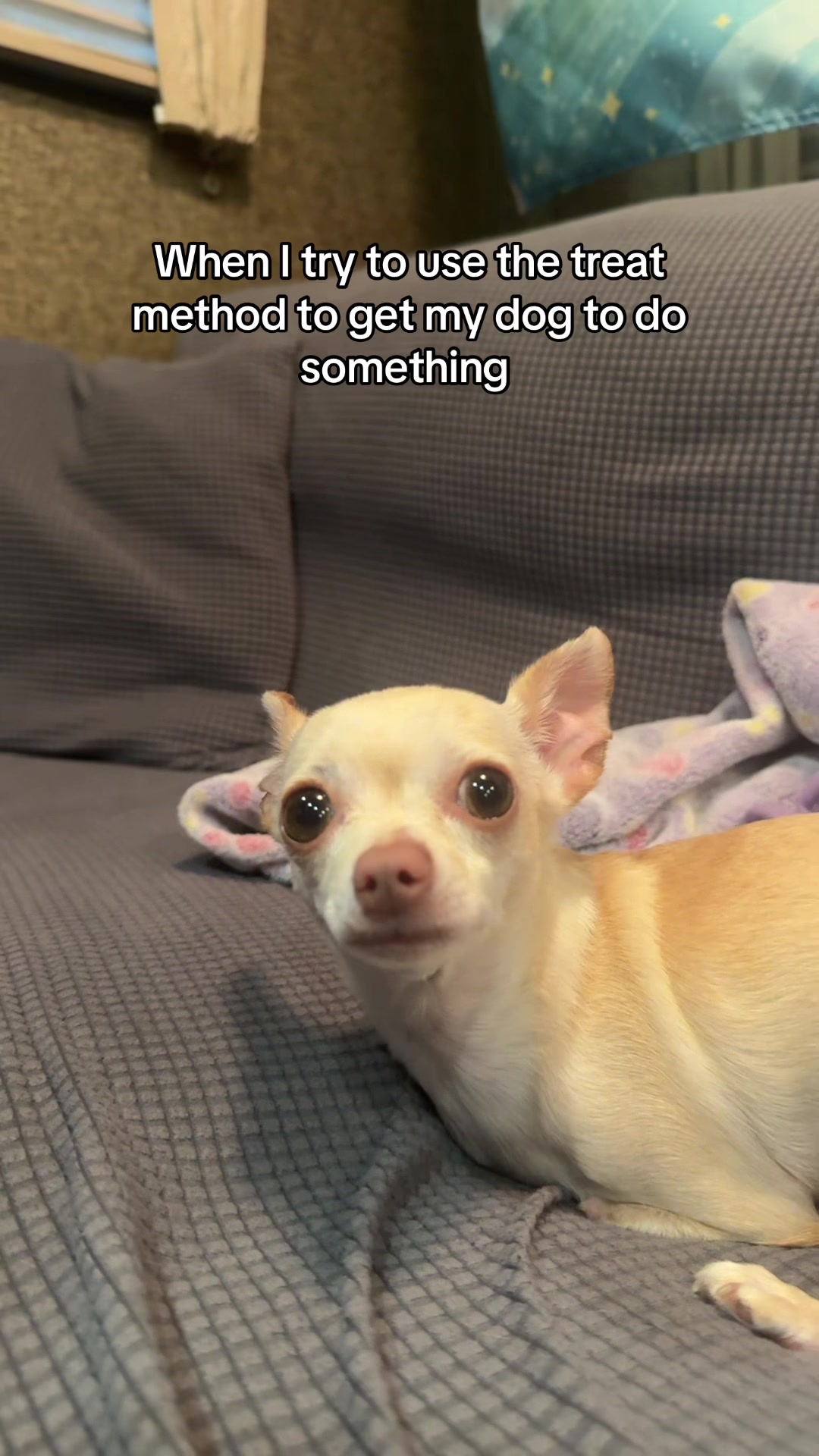@Gio + Emmy