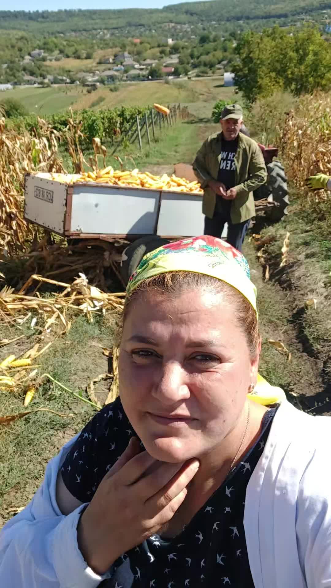 @lileazelencu
