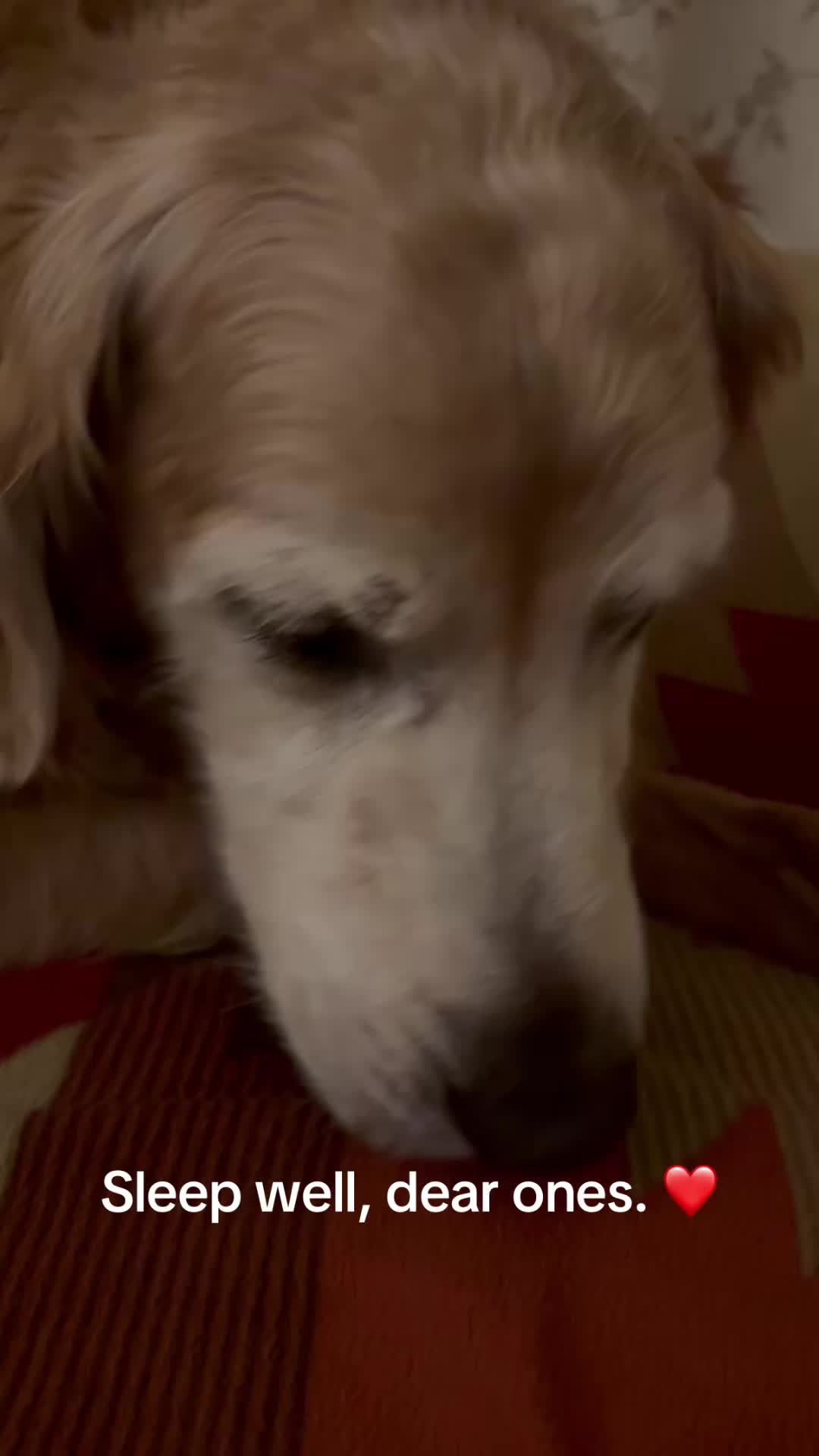 @lifewithduke2025