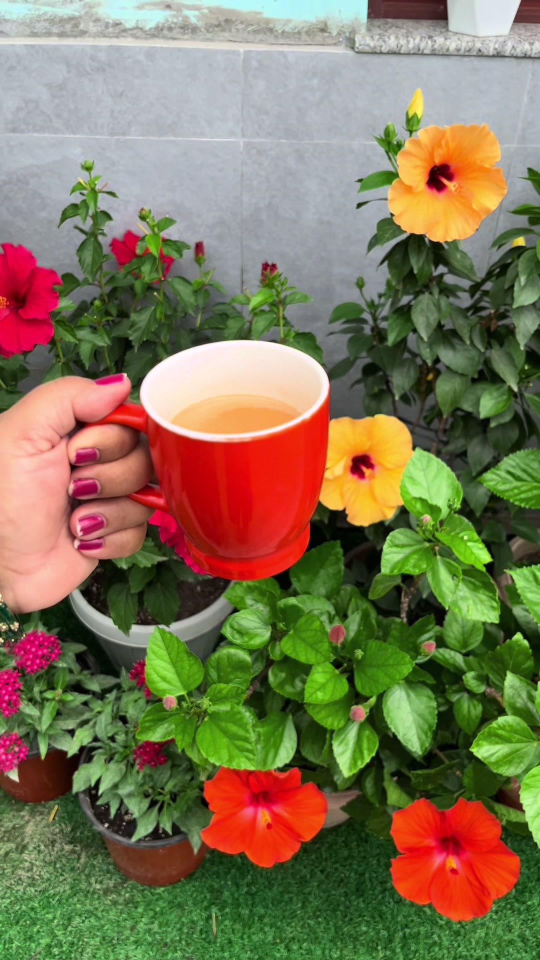 @poonam_shah 🧿🍀