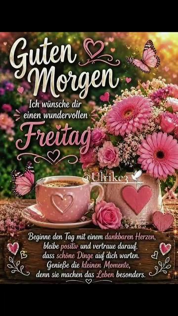 @Ulrike3🕊