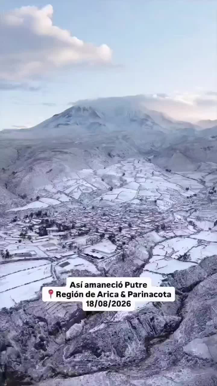 @Arica es Bac&aacute;n