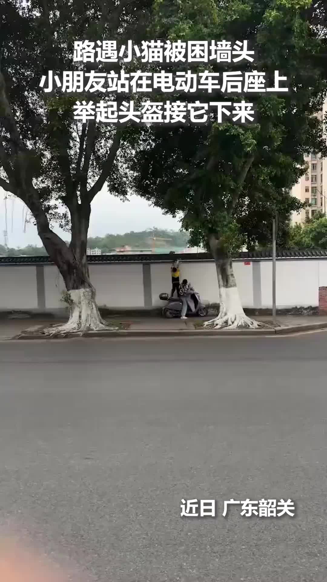 @中国蓝国际