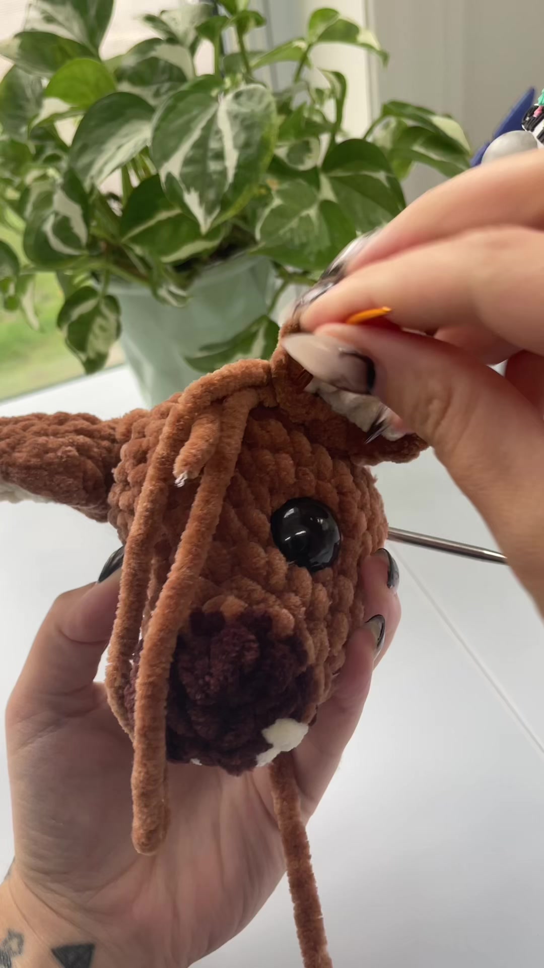 @Zero Gravity Crochet✨
