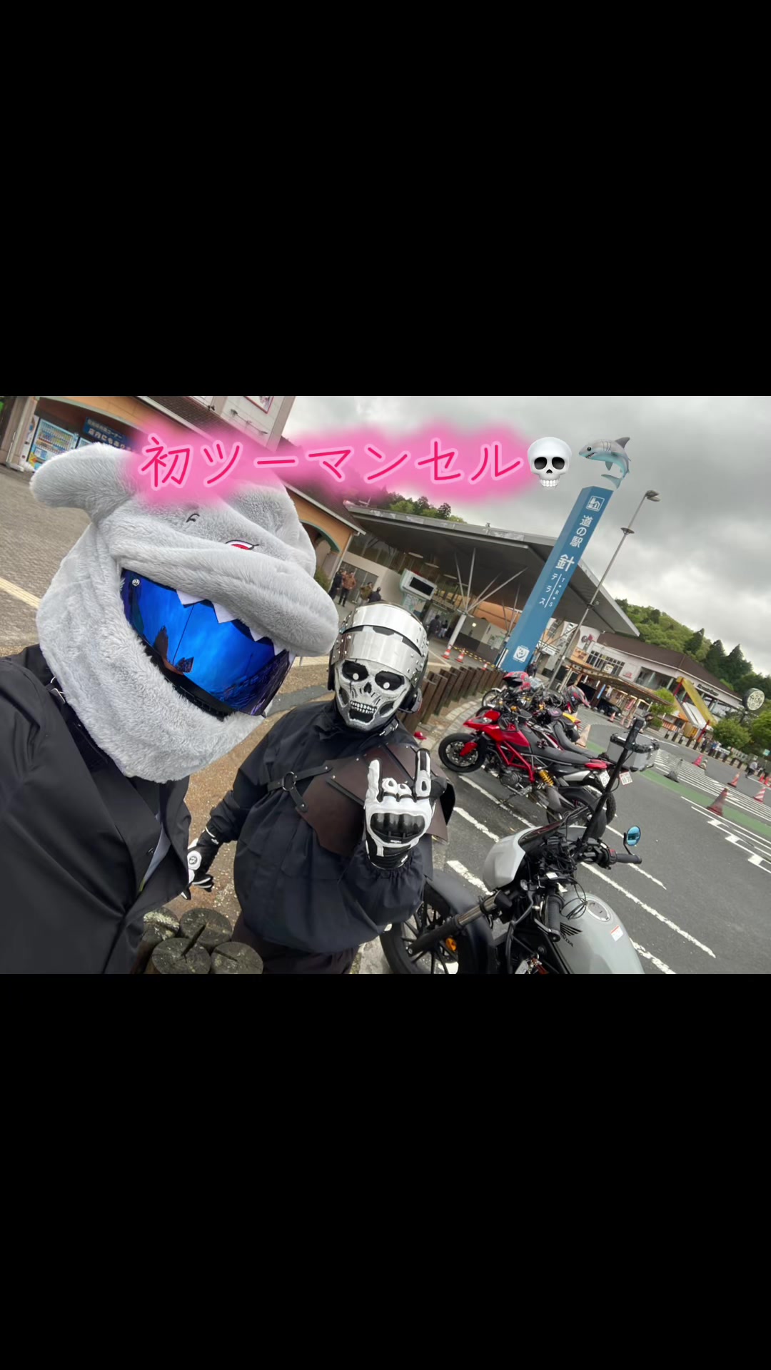 @すーちゃん🦉💀👻