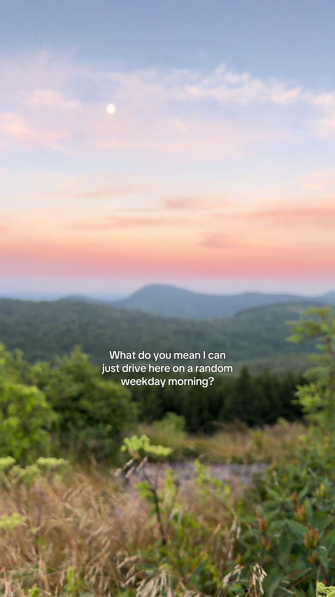 @Lauren! NC + NYC photographer