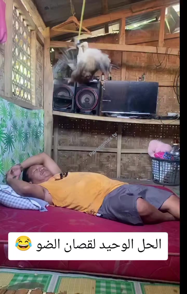 @Sassi Gasmi