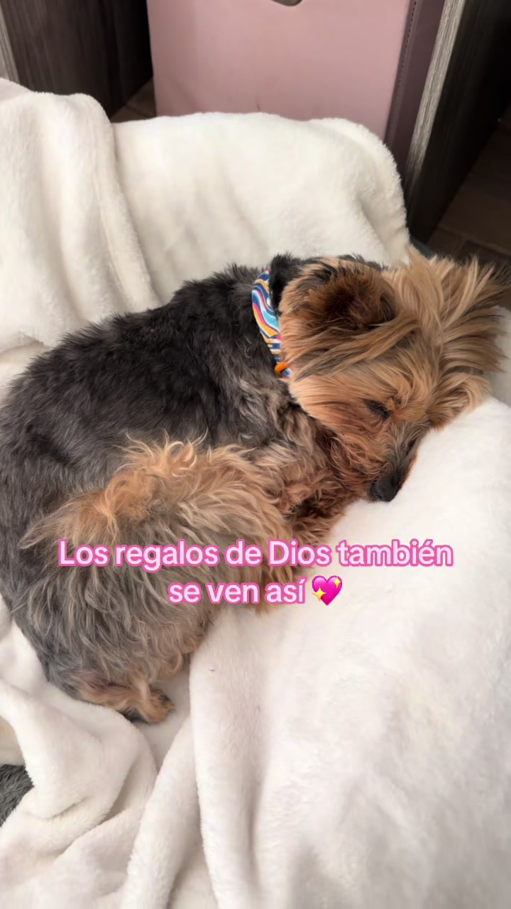 @GiGi Yu 💕