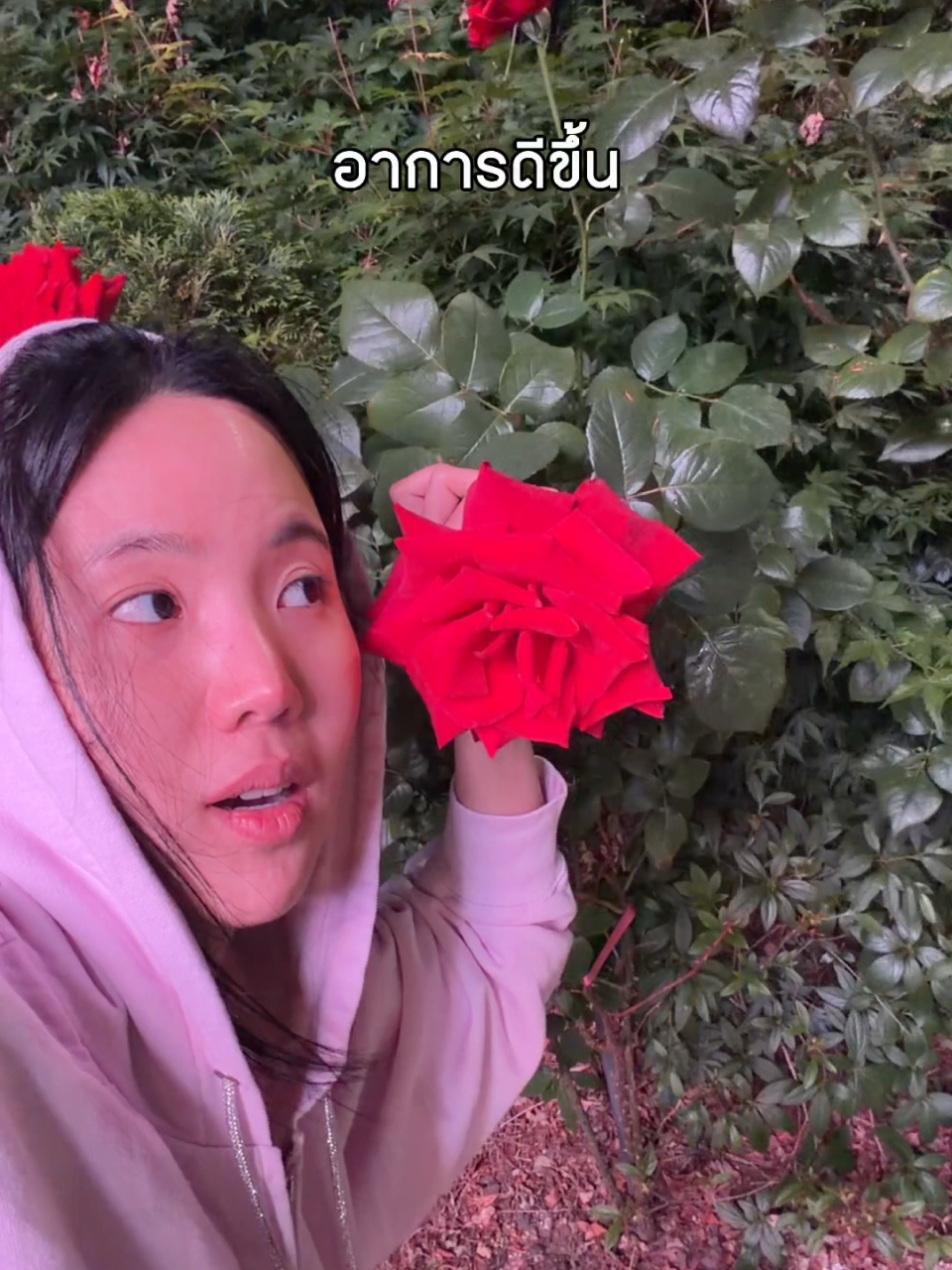 @คู่มือเตรียมดัง