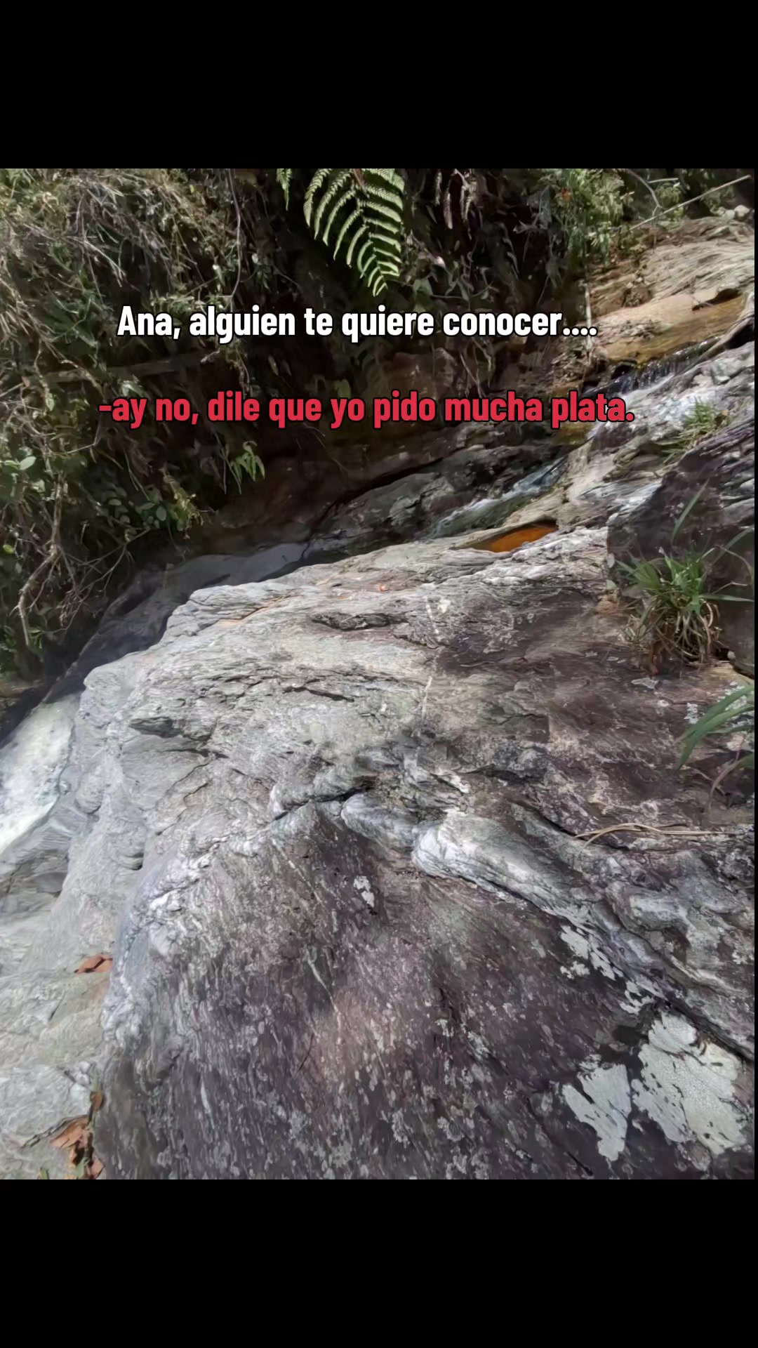 @Arango🌸