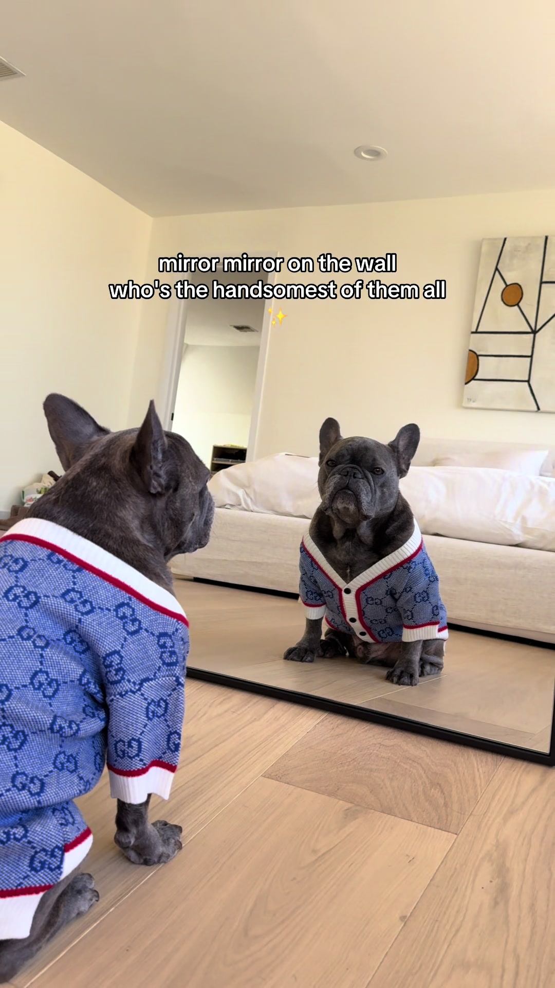 @Winston & Charlie 🐾