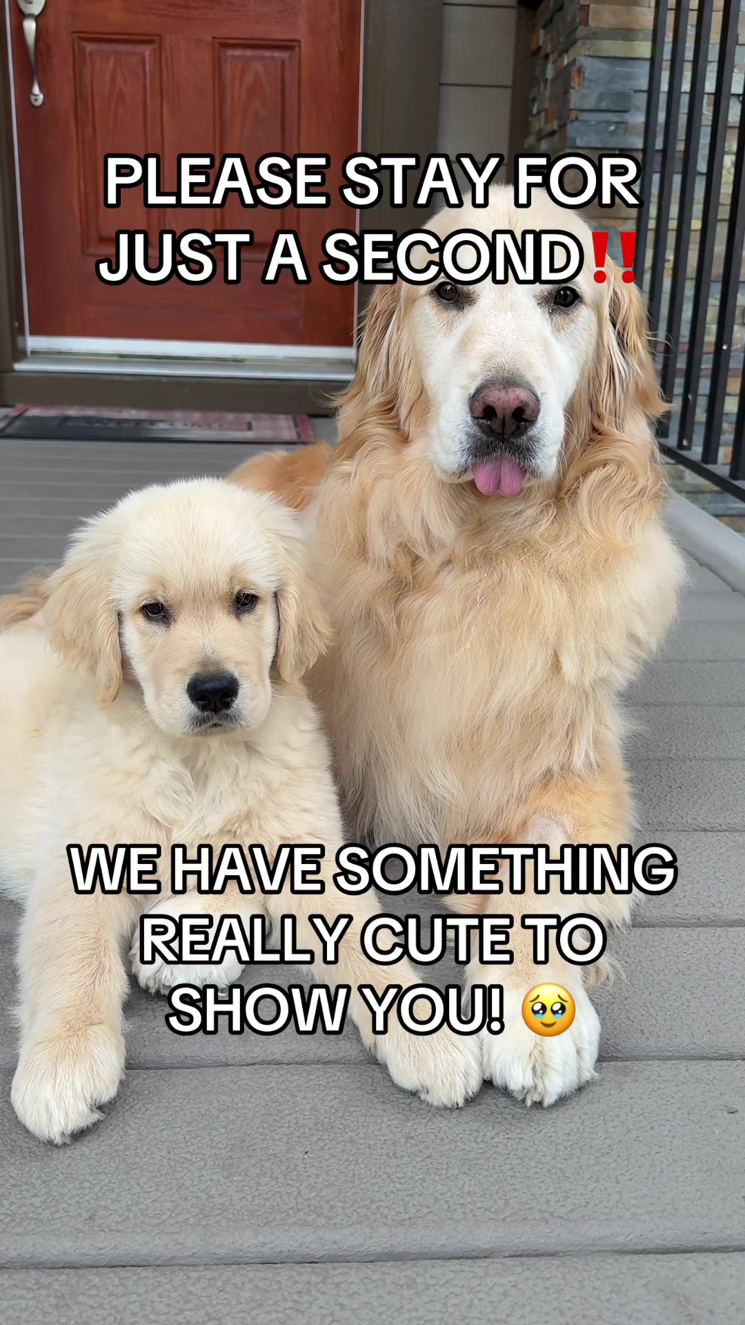 @A Golden and Fam