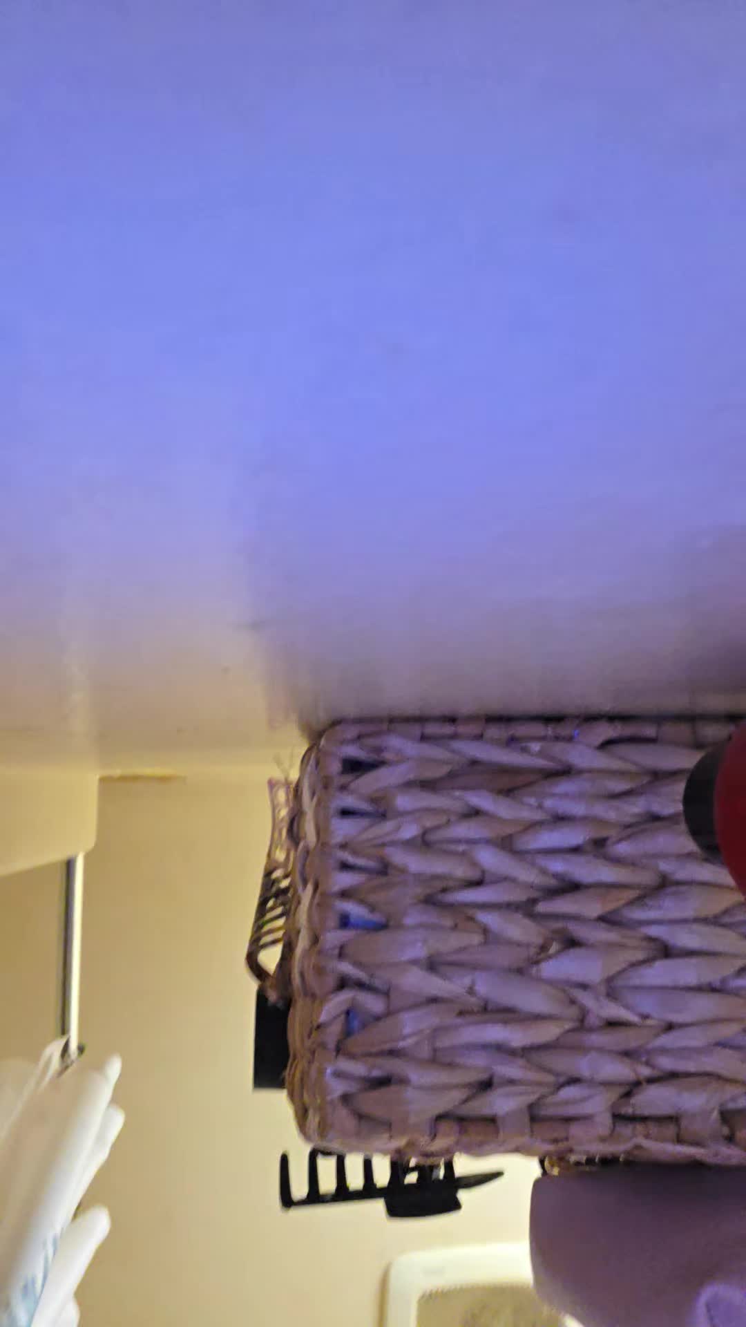 @SpizzyShane