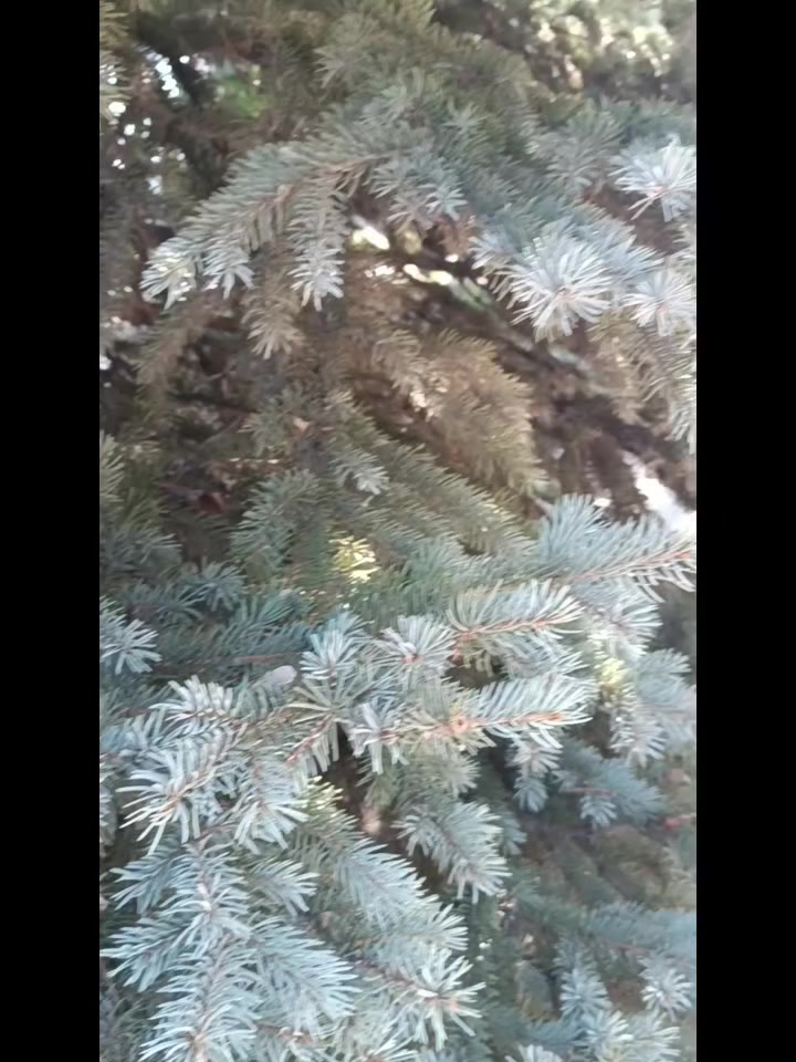@Тиктокерша