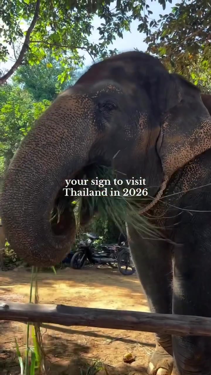 @Thailand