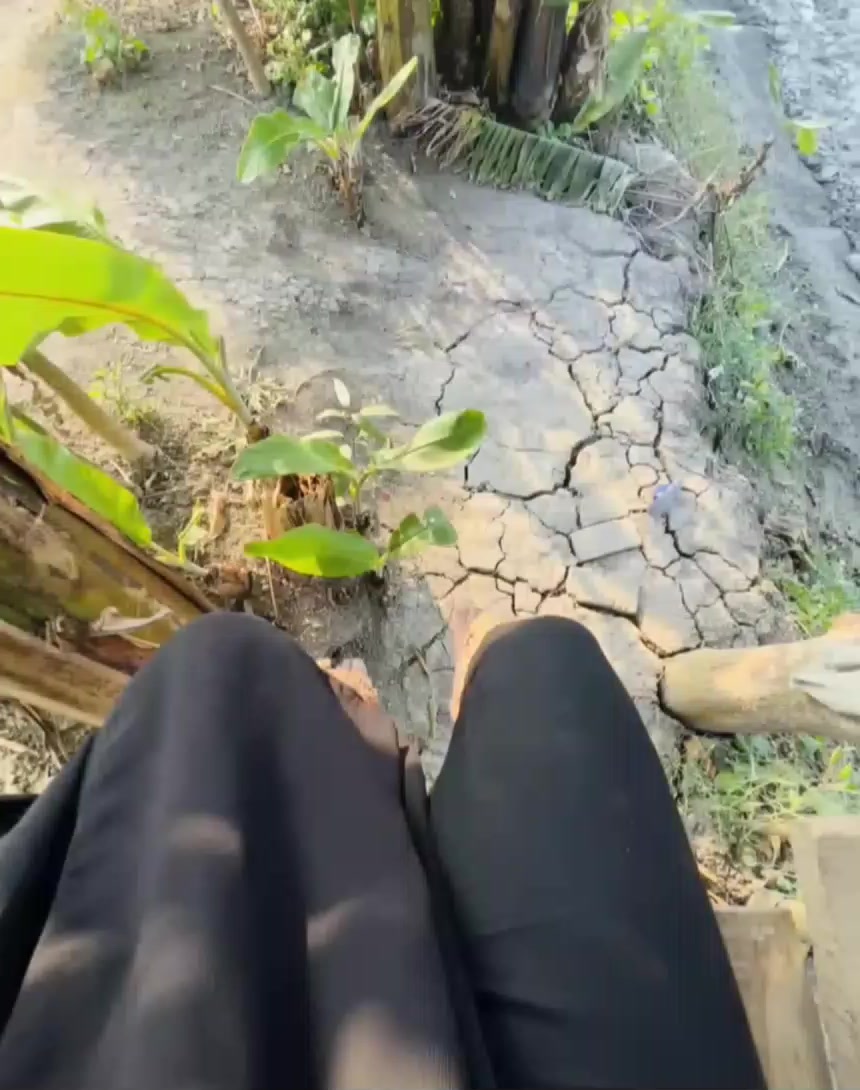 @~🦋টমেটো🦋~