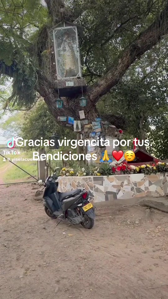 @Yisela Cuenca