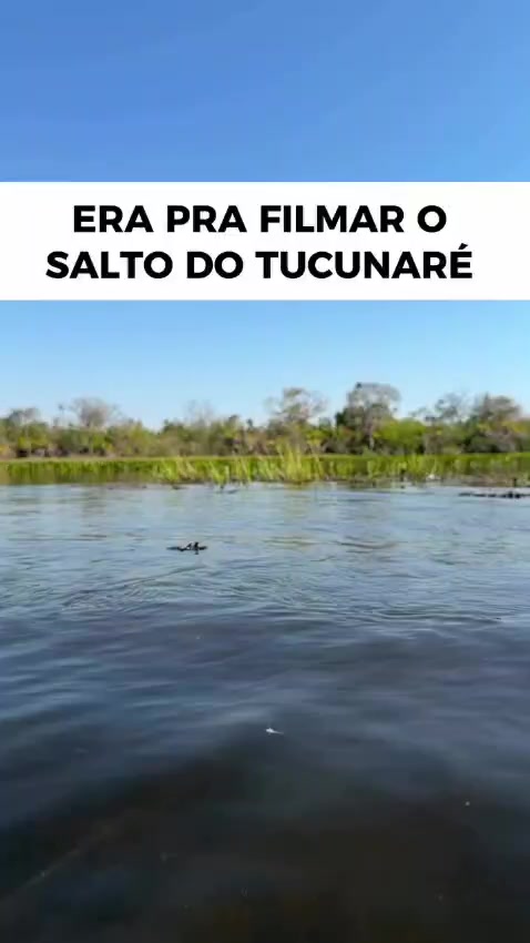 @Brandino Fishing