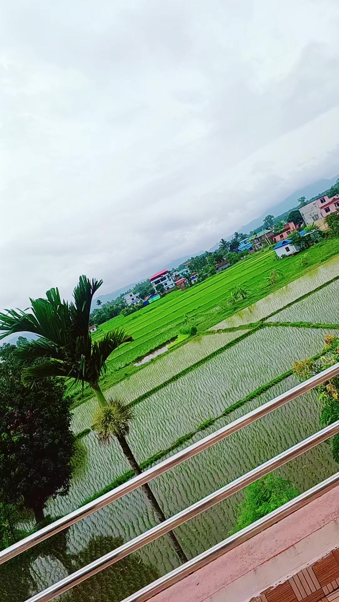 @Kalpana rawal