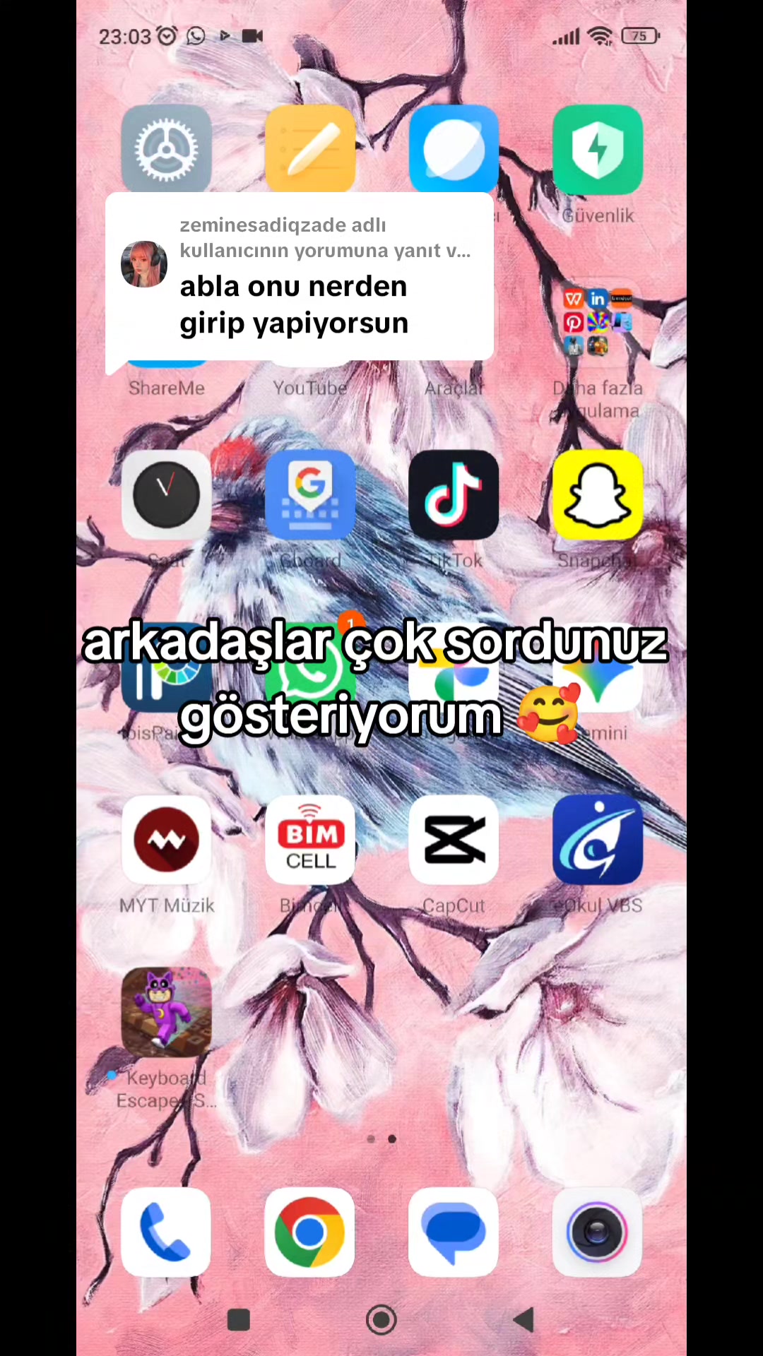 @zoktayfamm *ੈ✩‧₊˚༺☆༻*ੈ✩‧₊˚