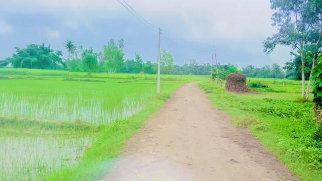@Sahare Aalam Shekh