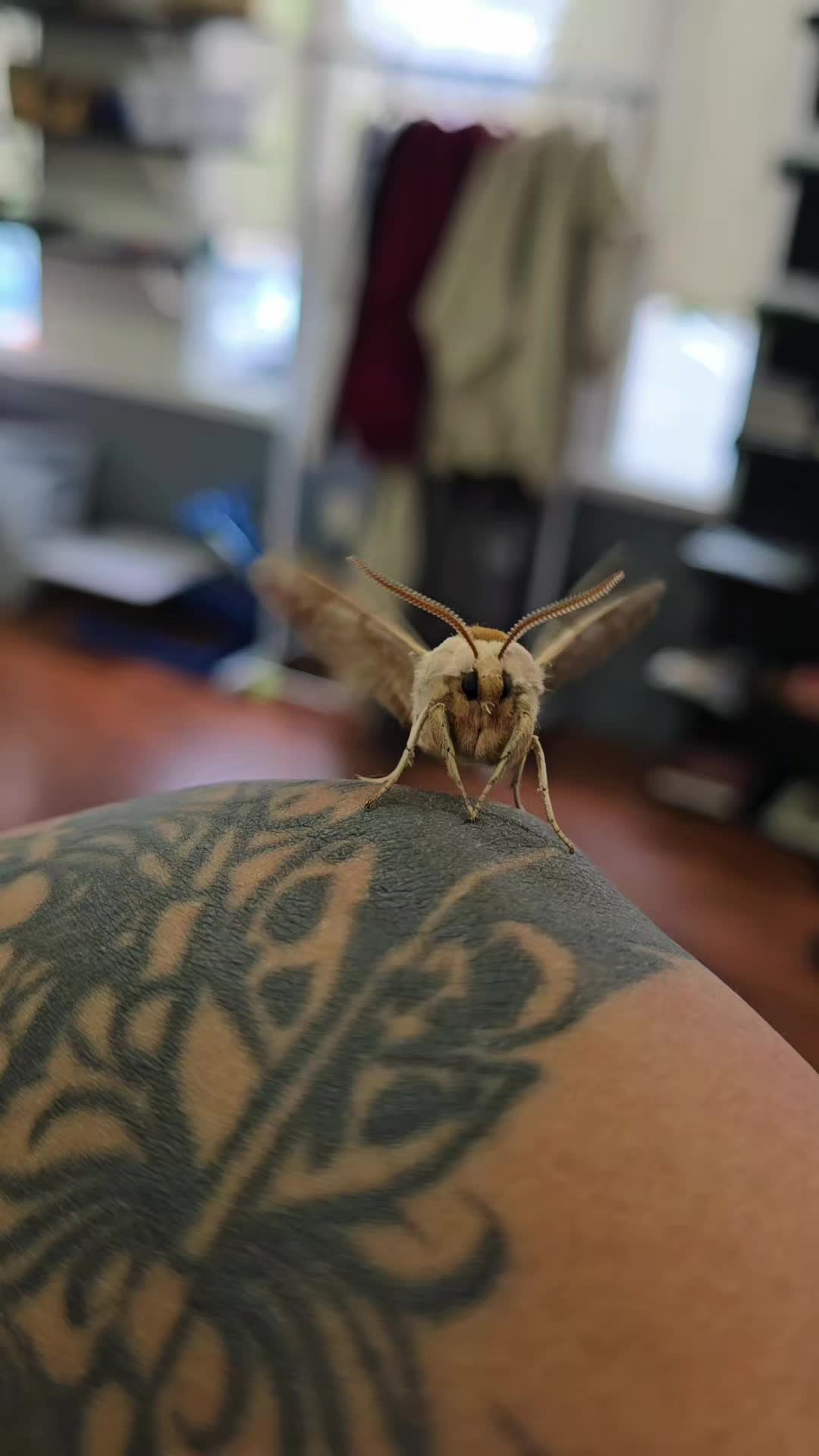 @Theysayimmagic