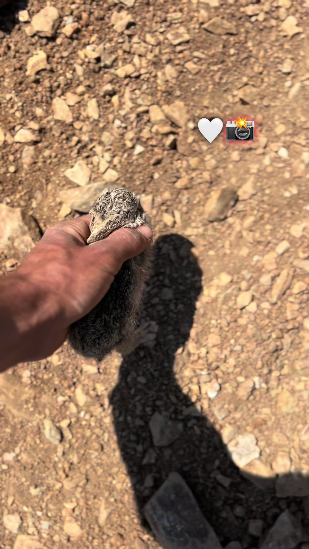 @🇭🇺⃤🦅|Mşħǐr_Ś&agrave;r&uacute;&aacute;n