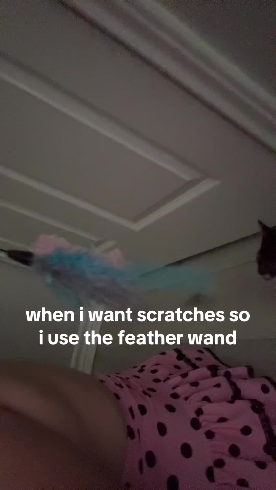 @lynnikittilolz