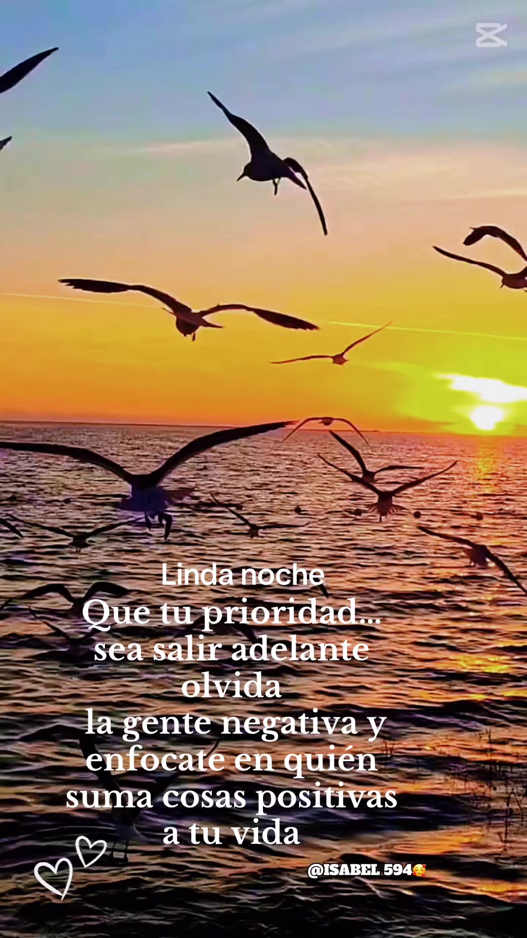 @isabelduarte594