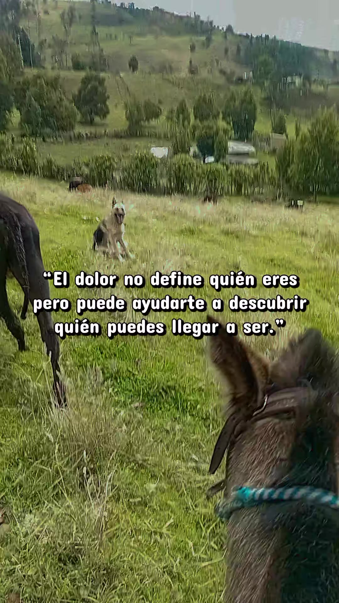 @Felipe c