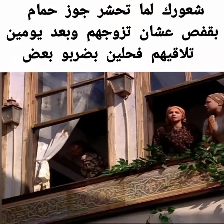 @Pigeons Tv