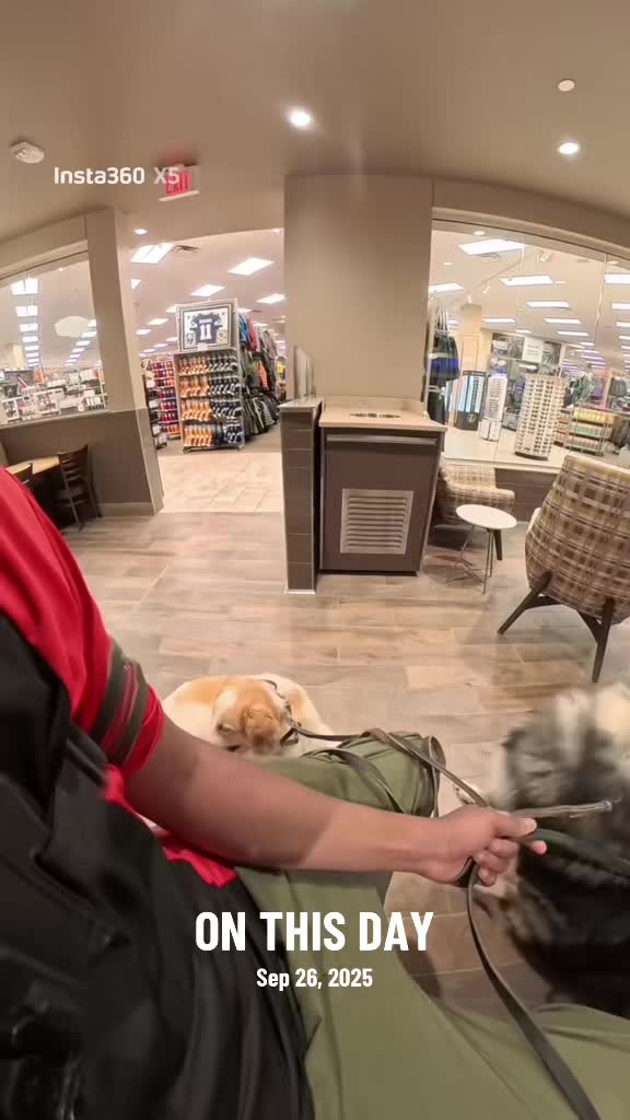 @Neko, Tokahli and Bear