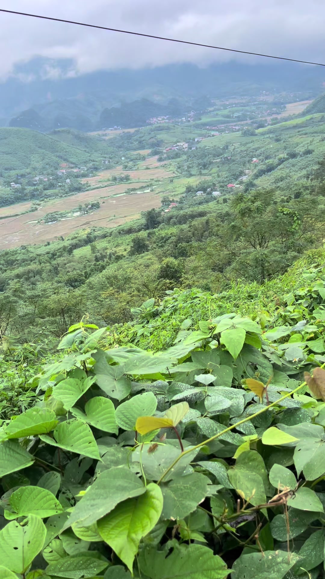 @ƯỚC.MPT