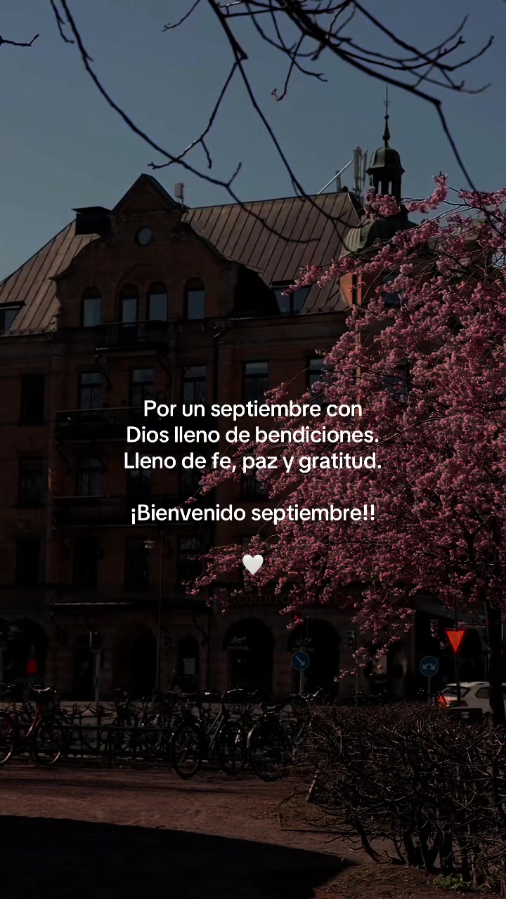 @thaniaSayegh💫frases
