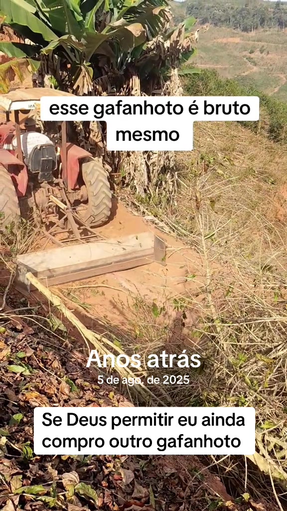 @Amós da roça cafécultor