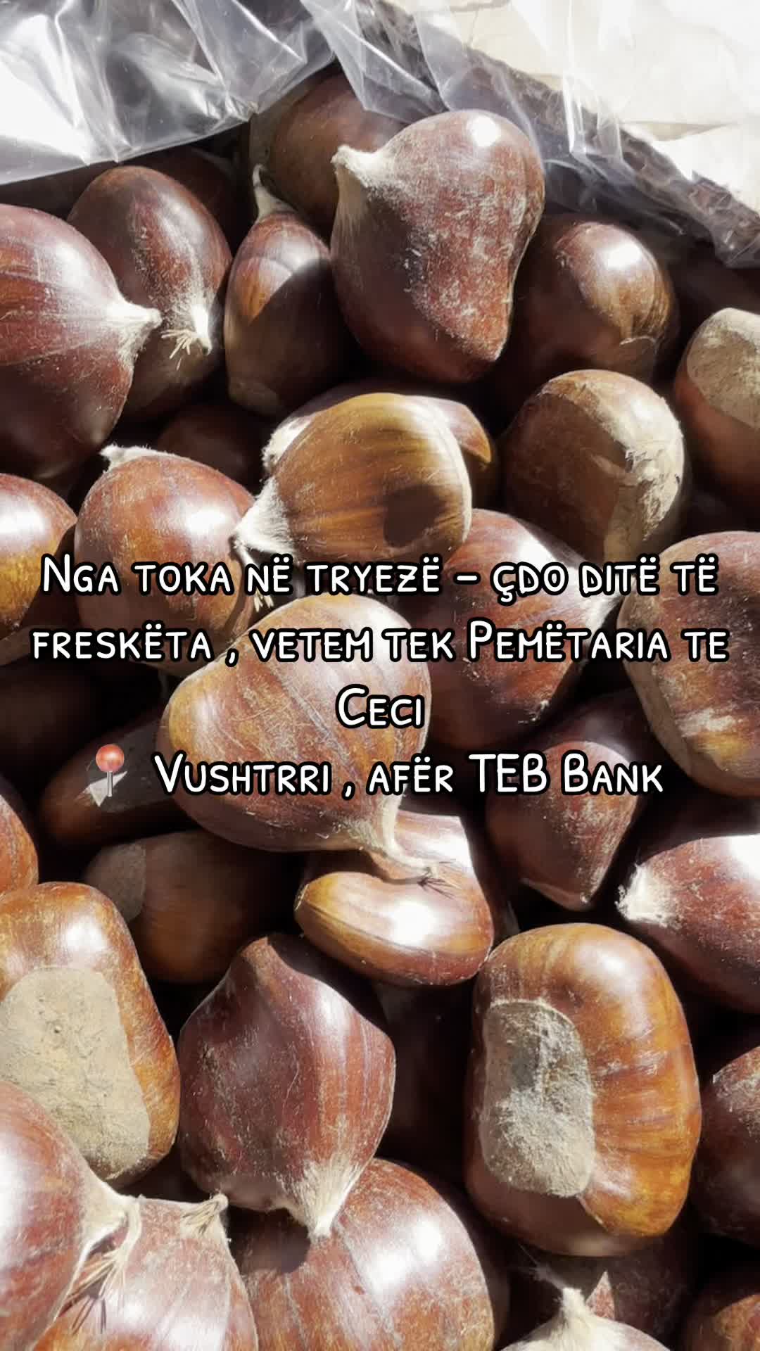 @Pemëtaria Te Ceci